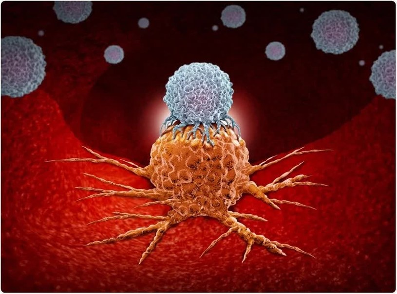 Immunoterapia jest jednym z głównych sposobów walki z białaczką limfoblastyczną /Shutterstock