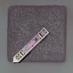 Implant mniejszy niż ziarnko soli. Przez rok bezprzewodowo śledzi mózg