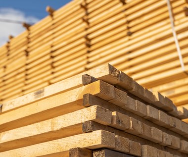 Import drewna ze Wschodu. "Istnieje ryzyko zerwania łańcuchów dostaw"