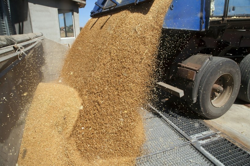 Import płodów rolnych z Ukrainy do Polski będzie zakazany do 30 czerwca bieżącego roku /123RF/PICSEL