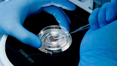 In vitro - błąd czy świadome działanie?