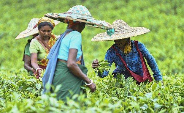 Indie obłożone dodatkowymi cłami. Jest podpis Trumpa
