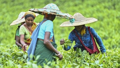 Indie obłożone dodatkowymi cłami. Jest podpis Trumpa