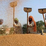 Indie protestują przeciw wzrostowi cen żywności