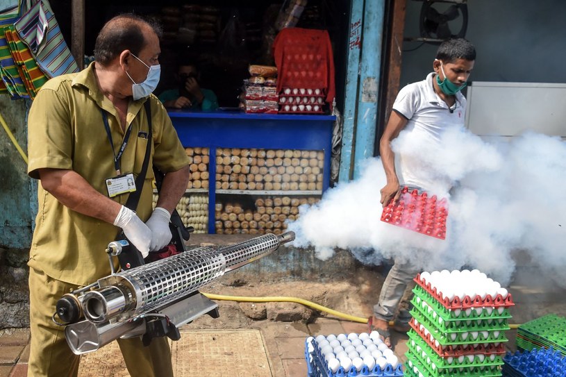 Indie walcza z malarią /AFP