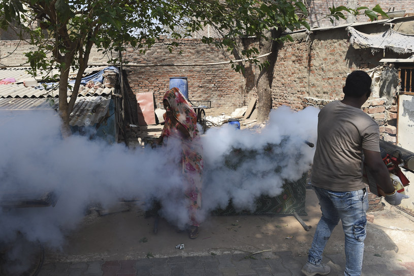 Indie walczą z ptasią grypą, na zdjęciu mężczyzna z maszyna do zamgławiania stosowaną jako środek zapobiegawczy przeciwko ptasiej grypie w rejonie Sola na obrzeżach Ahmedabadu /SAM PANTHAKY/AFP/East News /AFP