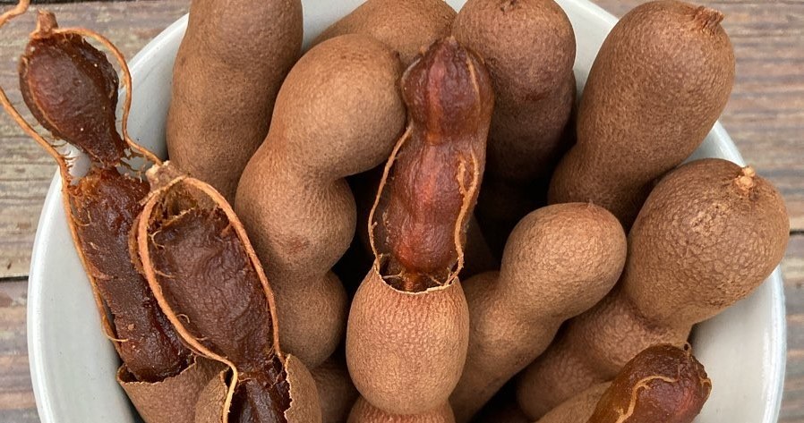 Індійський тамаринд - екзотичний плід із корисними властивостями /Domena publiczna