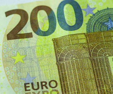 Inflacja w strefie euro nie odpuszcza. Jest jeden główny winowajca