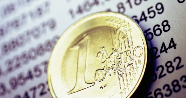 Inflacja w strefie euro wyniosła w październiku 2010 r., w ujęciu rok do roku, 1,9 procent /&copy; Panthermedia