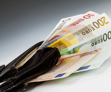 Inflacja w strefie euro wzrosła w styczniu do 5,1 proc. - podał Eurostat
