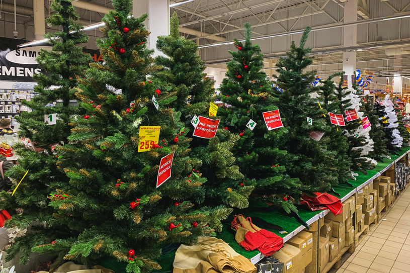Inflacja widoczna także w cenach świątecznych choinek /Karol Makurat /Reporter
