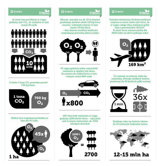 Infografika opublikowana na stronach kampanii "Drzewo za drzewo" /drzewozadrzewo.pl /Materiały prasowe