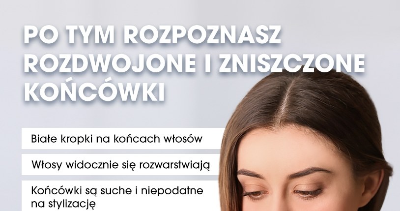 Infografika - rozdwojone końcówki /materiały promocyjne