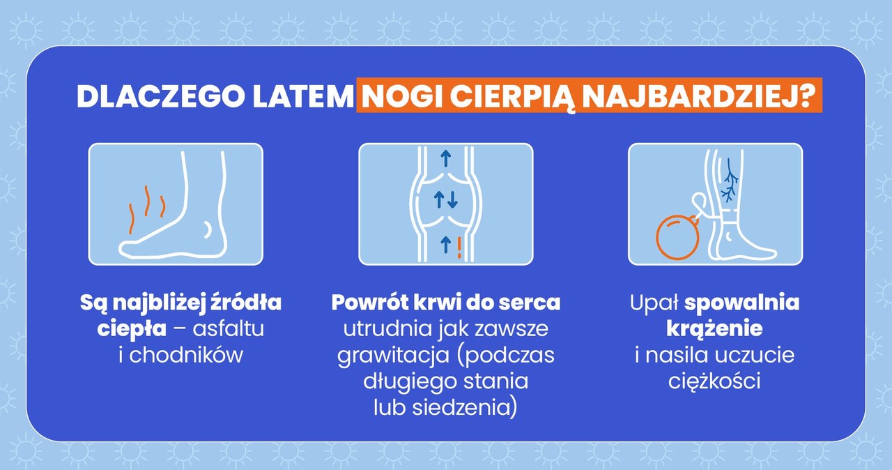 Infografika /materiały promocyjne