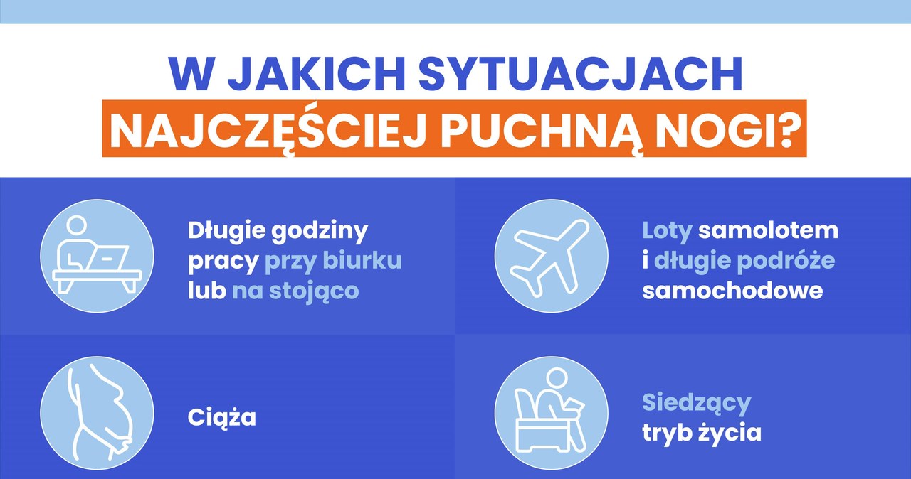 Infografika /content studio
