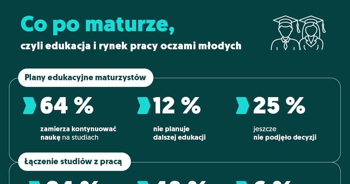 Infografika /Content Studio