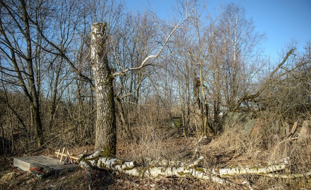 Informacja - wasze prawo, nasz obowiązek