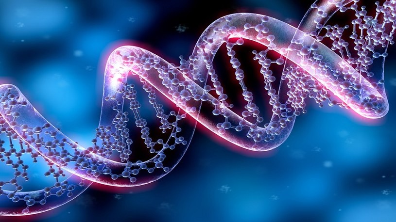 Informacje z RNA można wpisać z powrotem do DNA za pomocą nowej metody /Geekweek