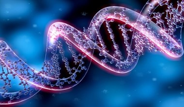 Informacje z RNA można wpisać z powrotem do DNA za pomocą nowej metody