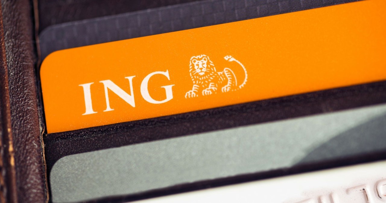 ING Bank Śląski: Prace serwisowe i utrudnienia w płatnościach kartami na koniec czerwca /ARKADIUSZ ZIOLEK/East News /East News