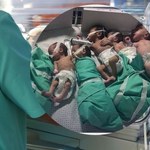 Inkubatory bez prądu, wcześniaki owijane folią. Dramat w szpitalu w Gazie