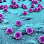 Innowacyjny związek zabijający antybiotykooporne bakterie