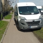 Inowrocławscy mistrzowie parkowania w akcji. Straż miejska pokazała zdjęcia