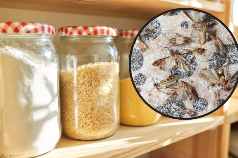Insekty zagnieżdżają się w źle przechowywanej mące i kaszach. Czym grozi zjedzenie jaj i larw? /123RF/PICSEL