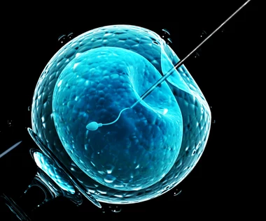 ​Inseminacja - jedna z metod leczenia niepłodności