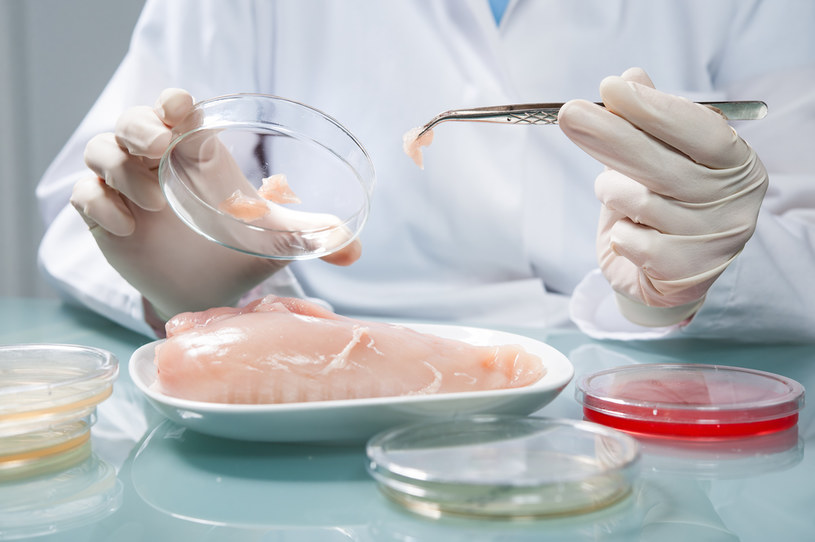 Inspekcja Weterynaryjna wykryła salmonellę w mięsie pochodzącym z zakładów Animex. Zdjęcie ilustracyjne /123RF/PICSEL