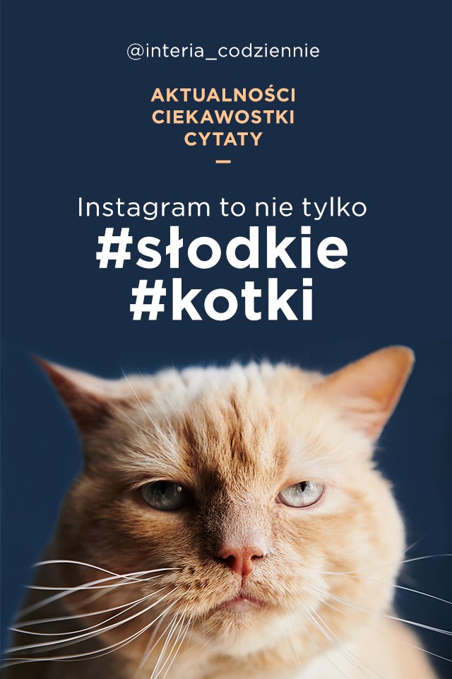 Instagram /interia /INTERIA.PL