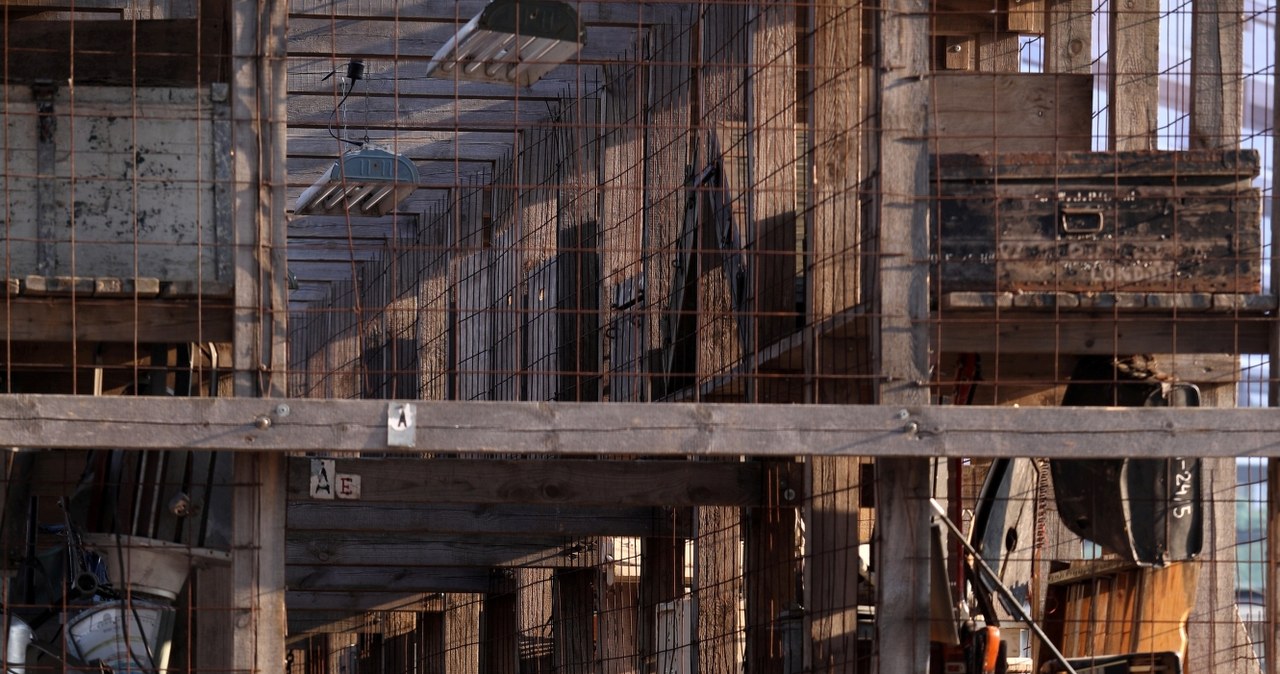 Instalacja "Tężnia sztuki" 