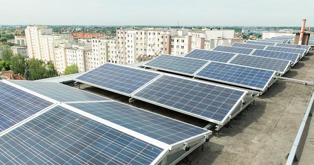 Instalacja fotowoltaiczna na budynku przy ul. Świeradowskiej we Wrocławiu /PAP