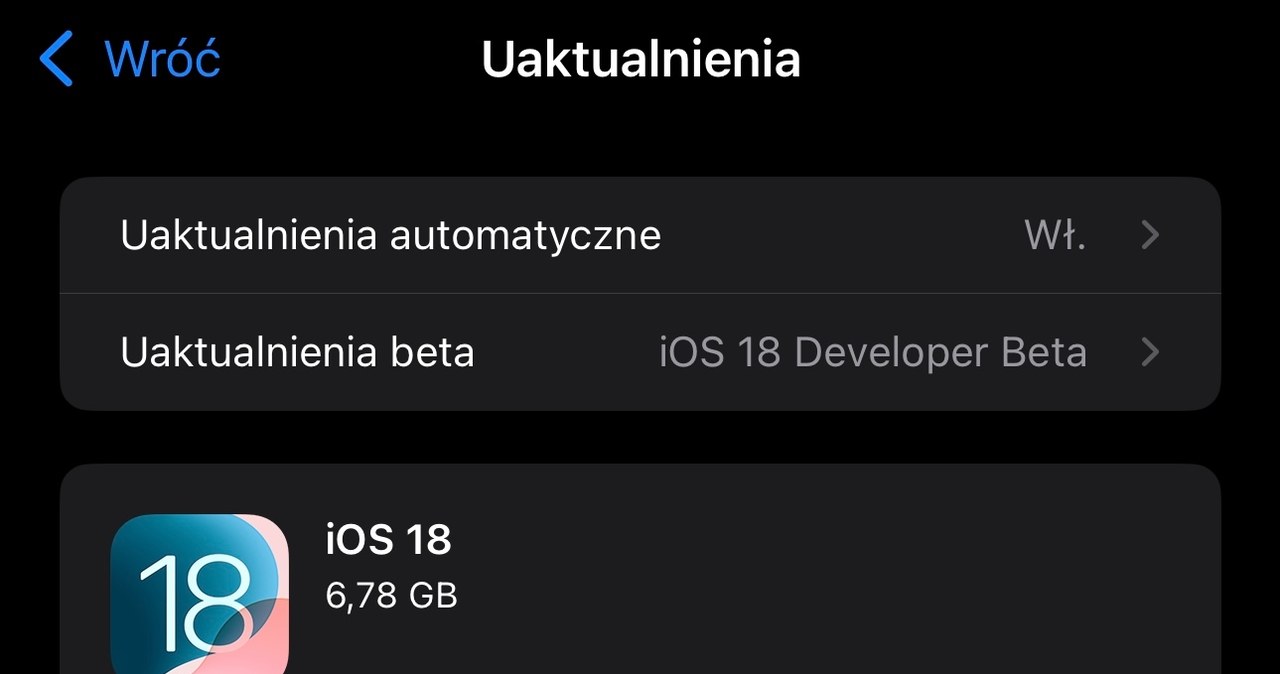 Instalacja iOS 18 na iPhonie nie jest trudna. /Dawid Długosz /INTERIA.PL