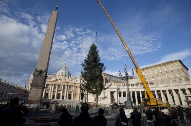 Instalacja ponad 25-metrowej choinki na placu św. Piotra w Watykanie /CLAUDIO PERI /PAP/EPA