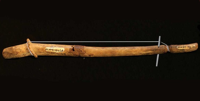Instrument znaleziony w Azji /Ancient Origins /materiał zewnętrzny