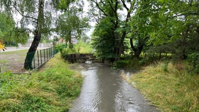Intensywne opady deszczu w Krakowie. Służby monitorują Serafę i Drwinę  