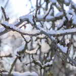 Intensywne opady śniegu i silny wiatr. Ostrzeżenia dla Dolnego Śląska