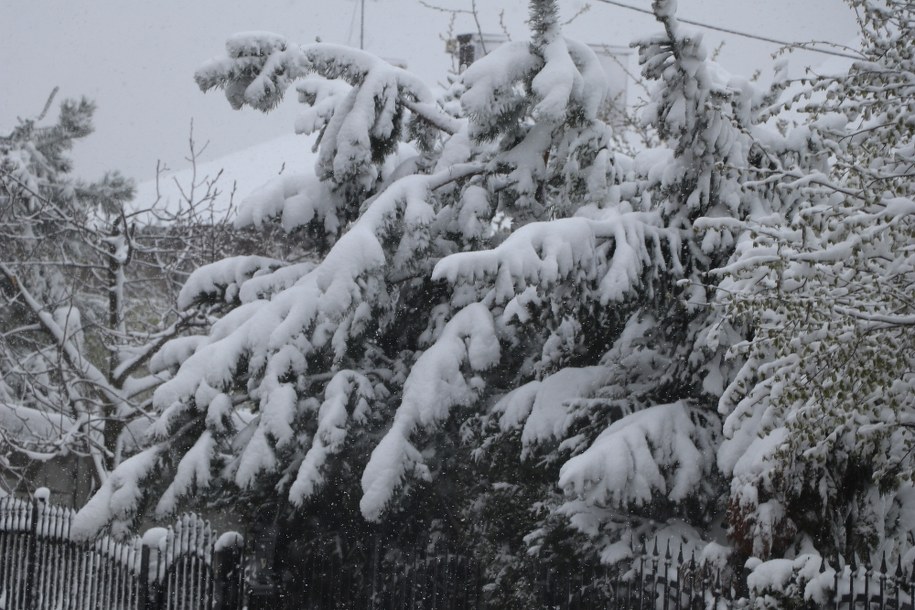 Intensywne opady śniegu na Śląsku /Jacek Skóra /RMF FM