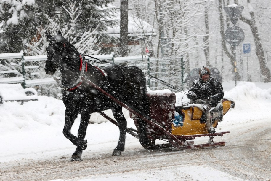 Intensywne opady śniegu spowodowały duże utrudnienia na podhalańskich drogach /Grzegorz Momot /PAP