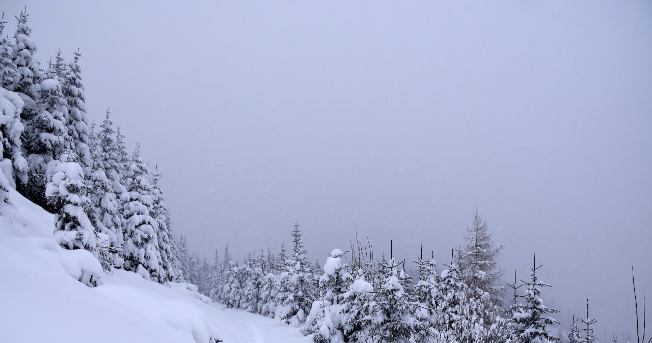Intensywne opady śniegu w Tatrach /Albin Marciniak /East News