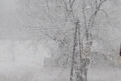 Intensywne opady śniegu w Zakopanem