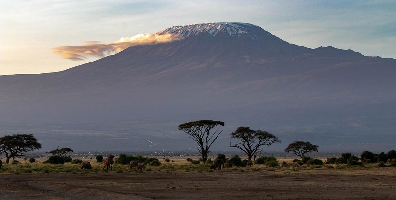 Internet na najwyższej górze Afryki sprawi, że przybędzie turystów? /Pixabay.com
