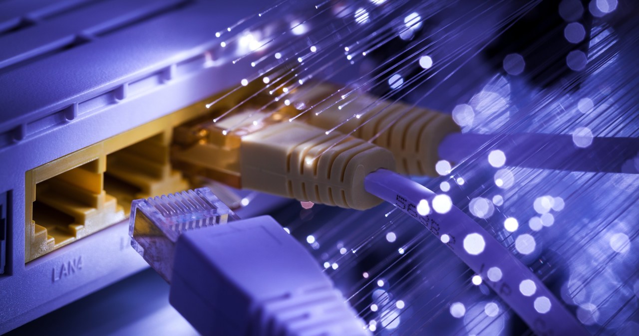 Internet o prędkości 300 Mb/s zapewnia stabilne połączenie. /123RF/PICSEL