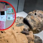 Internetowy handel szczątkami. Bioarcheolodzy ostrzegają przed klątwą mumii