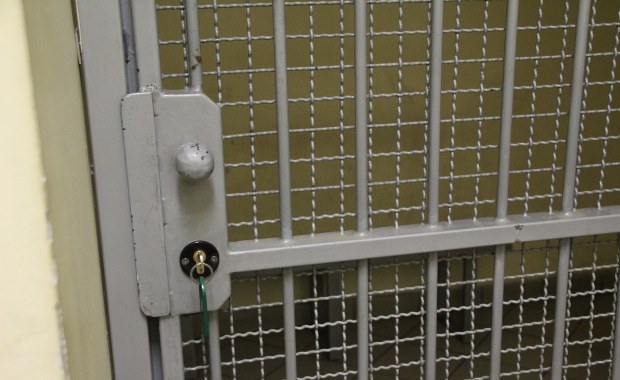 Internetowy oszust mógł wyłudzić nawet 300 tys. zł. Jest decyzja o areszcie