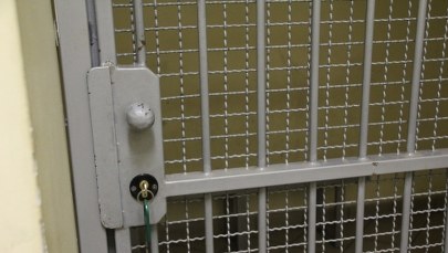 Internetowy oszust mógł wyłudzić nawet 300 tys. zł. Jest decyzja o areszcie