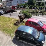 "Interwencja": Drzewo spadło na samochód. Kobiety mogły zginąć, winnych brak