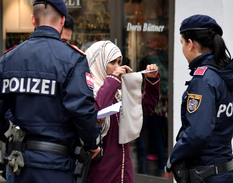 Interwencja policji w Zell am See /Barbara Gindl /AFP