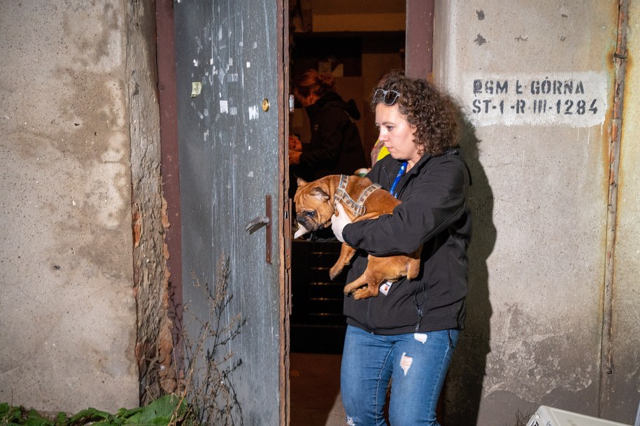 Interwencja Straży Miejskiej i Łódzkiego Towarzystwa Opieki nad Zwierzętami w jednym z mieszkań w Łodzi /	Grzegorz Michałowski   /PAP